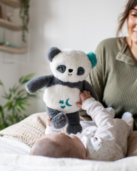 TOMMEE TIPPEE Pluszowy Szumiś Panda