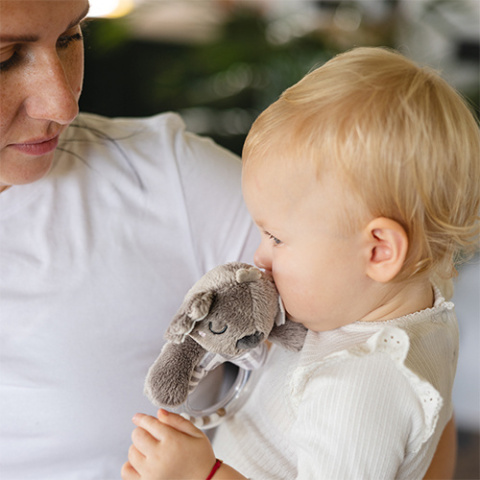 Babyono Grzechotka KOALA COCO