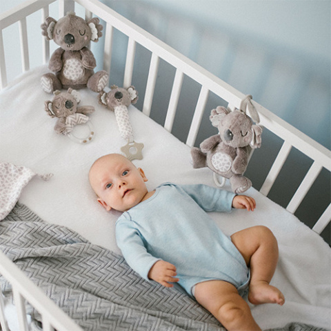 Babyono Grzechotka KOALA COCO