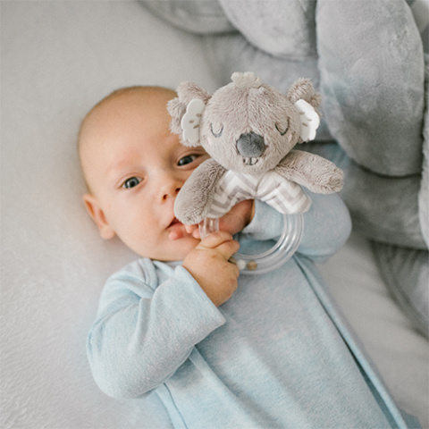 Babyono Grzechotka KOALA COCO