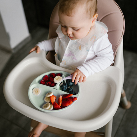 Babyono Silikonowy talerzyk z przyssawką zielony