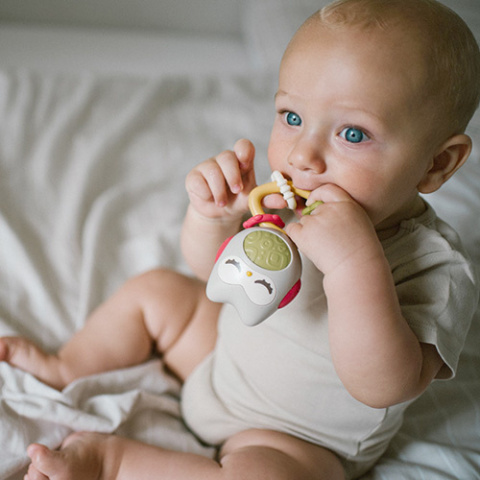 Babyono Grzechotka z dźwiękiem