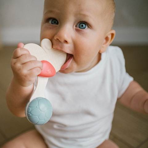 Babyono Grzechotka z gryzakiem