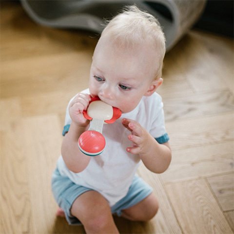 Babyono Grzechotka z gryzakiem