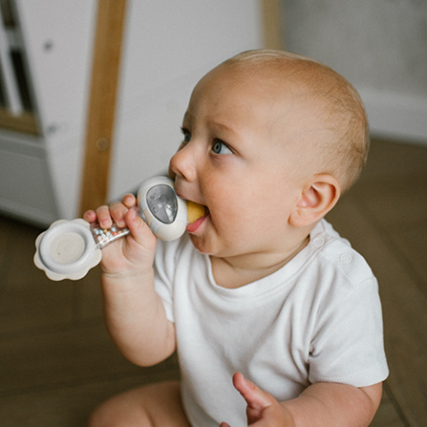Babyono Grzechotka z gryzakiem