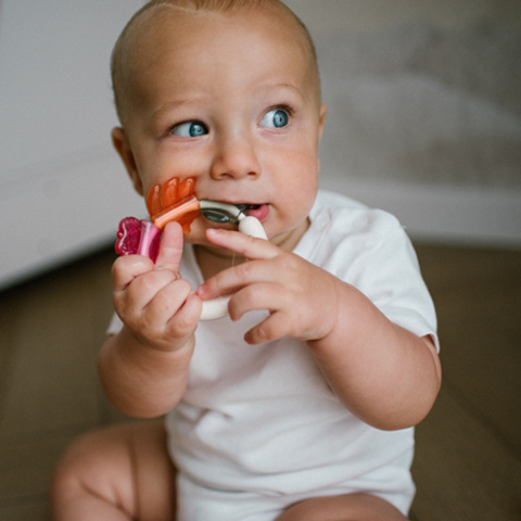 Babyono Grzechotka z gryzakiem