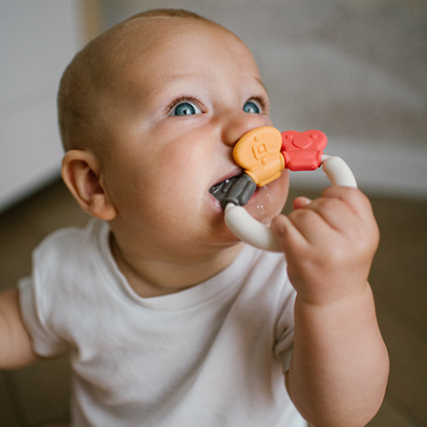Babyono Grzechotka z gryzakiem
