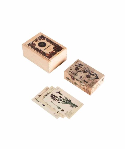 Wooden Story Drewniane Klocki Życie Pszczoły Rośliny Miododajne