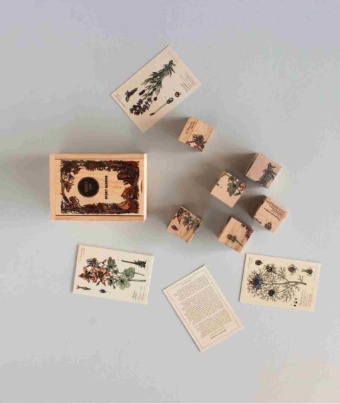 Wooden Story Drewniane Klocki Życie Pszczoły Rośliny Miododajne