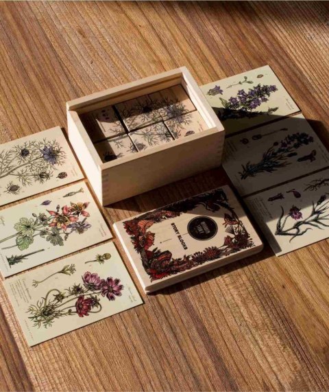 Wooden Story Drewniane Klocki Życie Pszczoły Rośliny Miododajne
