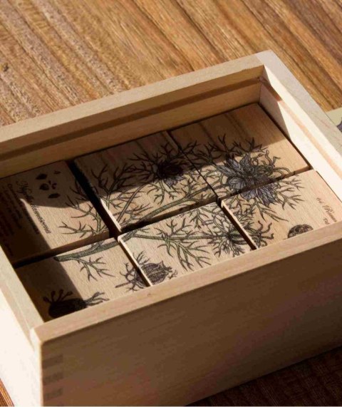 Wooden Story Drewniane Klocki Życie Pszczoły Rośliny Miododajne