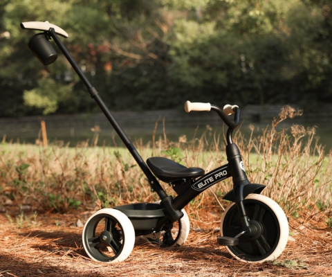 Qplay Rowerek trójkołowy Elite Pro Black