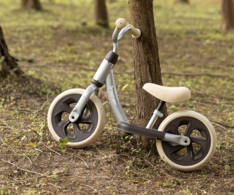 Qplay Rowerek biegowy Trainer silver