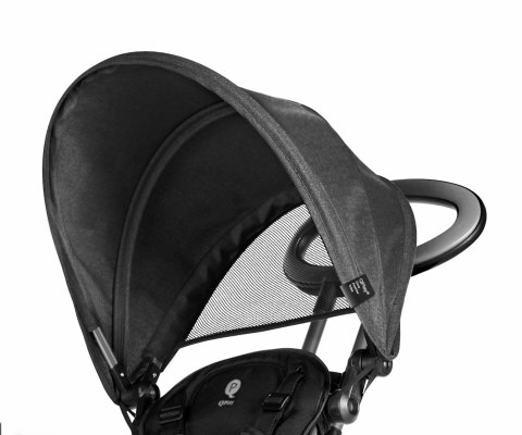 Qplay Rowerek trójkołowy Cosy Black