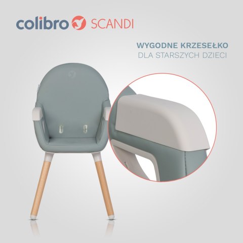 Colibro Krzesełko do karmienia Scandi Agava