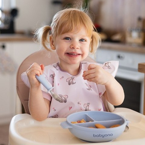 Babyono Silikonowy talerz z przyssawką i przykrywką niebieski