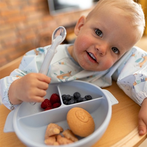 Babyono Silikonowy talerz z przyssawką i przykrywką niebieski