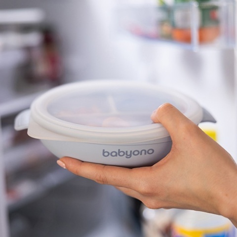 Babyono Silikonowy talerz z przyssawką i przykrywką niebieski