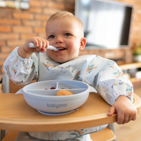 Babyono Silikonowy talerz z przyssawką i przykrywką niebieski