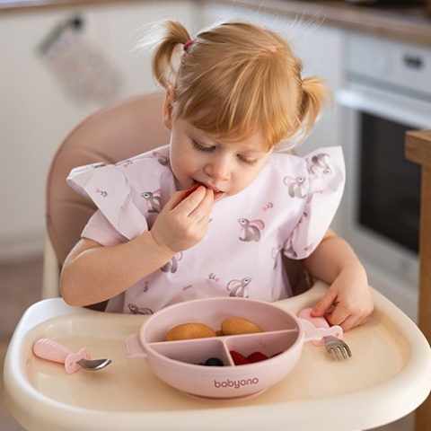 Babyono Silikonowy talerz z przyssawką i przykrywką różowy