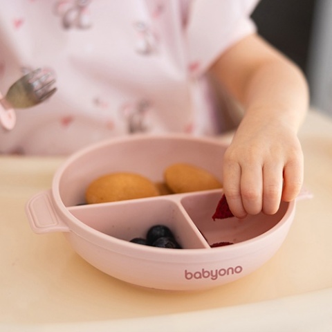 Babyono Silikonowy talerz z przyssawką i przykrywką różowy