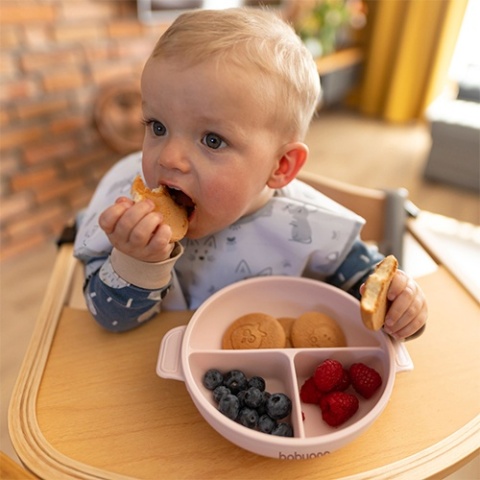 Babyono Silikonowy talerz z przyssawką i przykrywką różowy