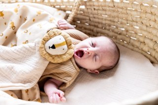 Przytulanka Lew - Bliss Beige Trixie Baby