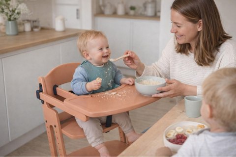 BabyDan - DanTray tacka do krzesełka DanChair, mocca mousse