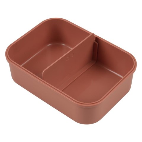 Pojemnik na lunch z klipsami - Mały Odkrywca Kot Trixie Baby