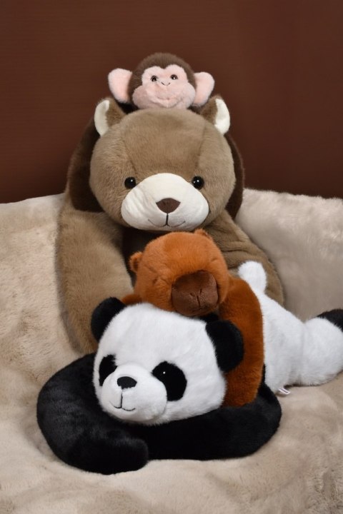 DOUDOU - obciążeniowa pluszowa małpka Podcoll Histoire d'Ours, 50 cm, brązowy