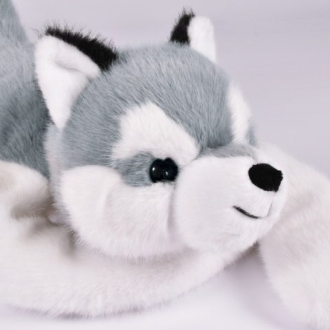 DOUDOU - obciążeniowy pluszowy pies husky Podcoll Histoire d'Ours, 50 cm, jasny szary