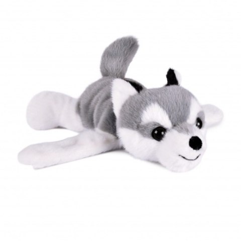 DOUDOU - pluszowa bransoletka slap pies husky Podcoll, Histoire d'Ours, jasny szary
