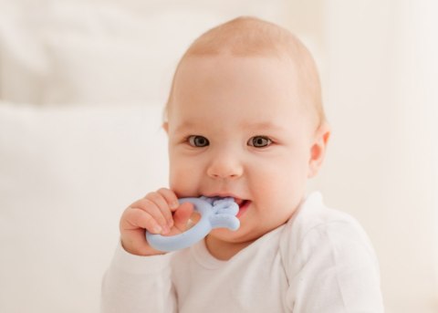 GILIGUMS Gryzak Ośmiornica Baby jasnoniebieski